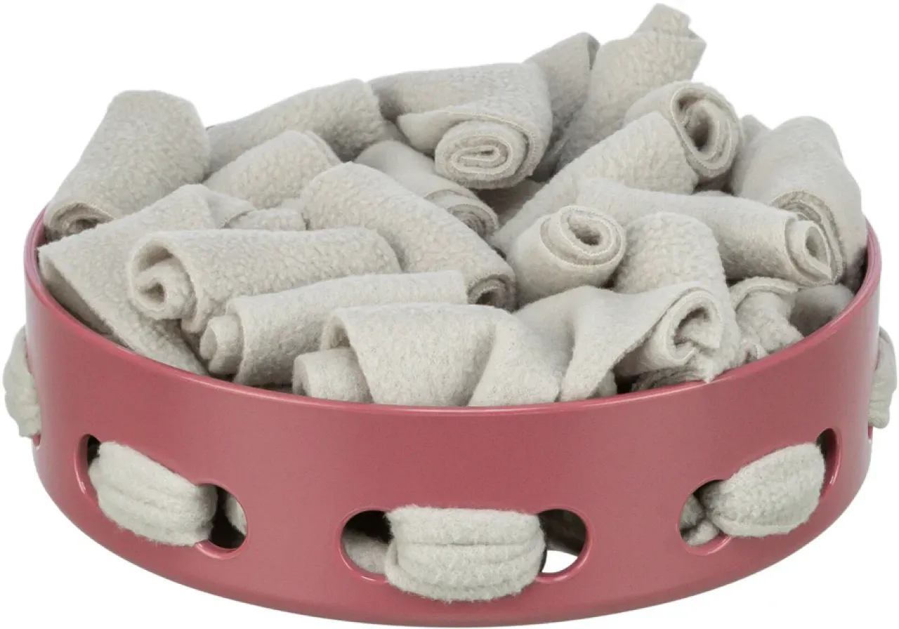Hide'n'Sniff Bowl